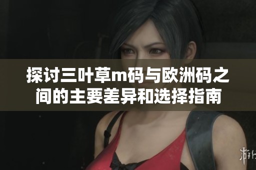 探讨三叶草m码与欧洲码之间的主要差异和选择指南