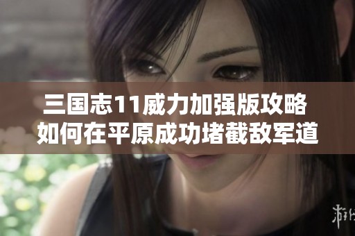 三国志11威力加强版攻略 如何在平原成功堵截敌军道路