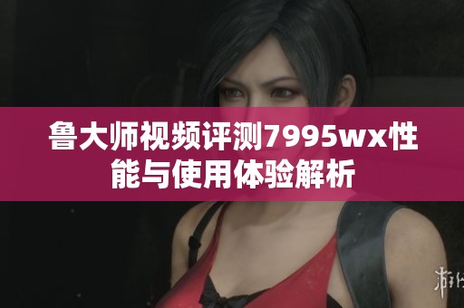 鲁大师视频评测7995wx性能与使用体验解析