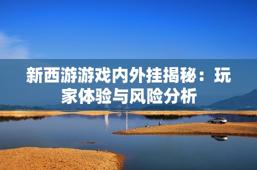新西游游戏内外挂揭秘：玩家体验与风险分析