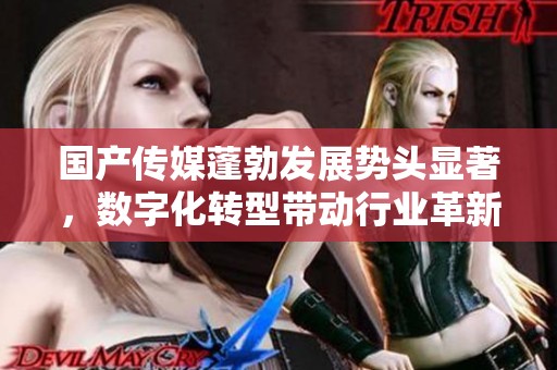 国产传媒蓬勃发展势头显著，数字化转型带动行业革新