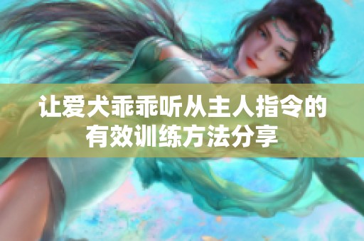 让爱犬乖乖听从主人指令的有效训练方法分享