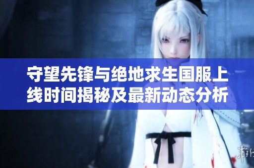 守望先锋与绝地求生国服上线时间揭秘及最新动态分析