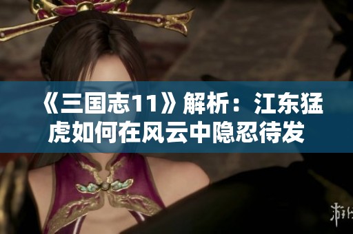 《三国志11》解析：江东猛虎如何在风云中隐忍待发