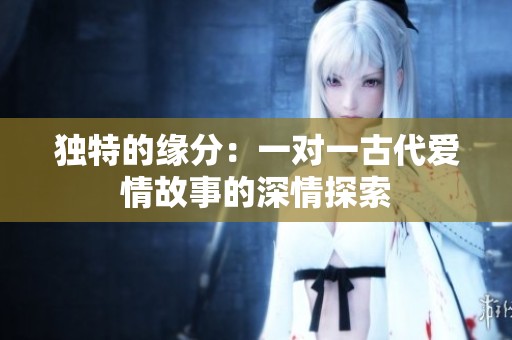 独特的缘分：一对一古代爱情故事的深情探索