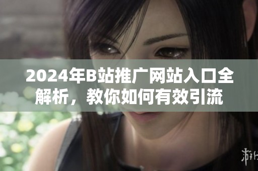2024年B站推广网站入口全解析，教你如何有效引流