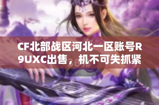 CF北部战区河北一区账号R9UXC出售，机不可失抓紧机会