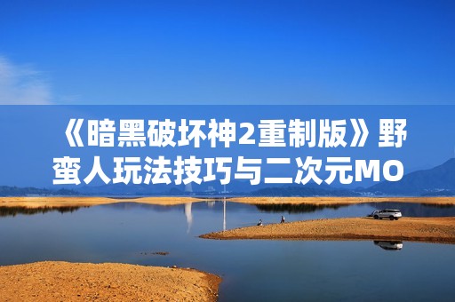 《暗黑破坏神2重制版》野蛮人玩法技巧与二次元MOBA手游推荐