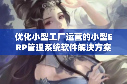 优化小型工厂运营的小型ERP管理系统软件解决方案