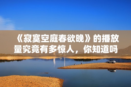 《寂寞空庭春欲晚》的播放量究竟有多惊人，你知道吗