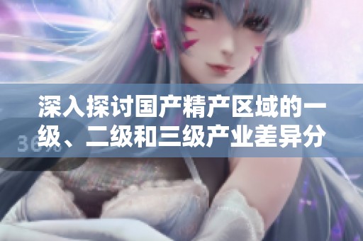 深入探讨国产精产区域的一级、二级和三级产业差异分析