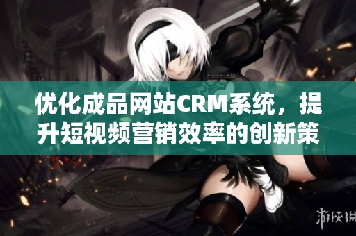 优化成品网站CRM系统，提升短视频营销效率的创新策略