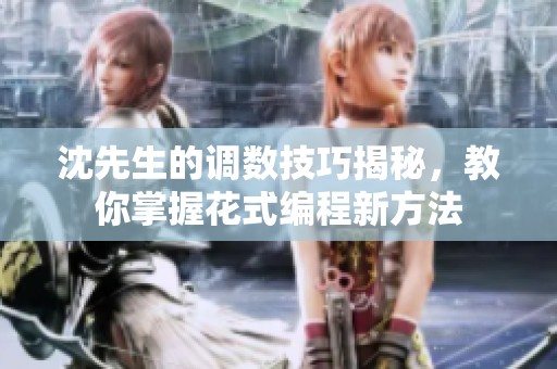 沈先生的调数技巧揭秘，教你掌握花式编程新方法