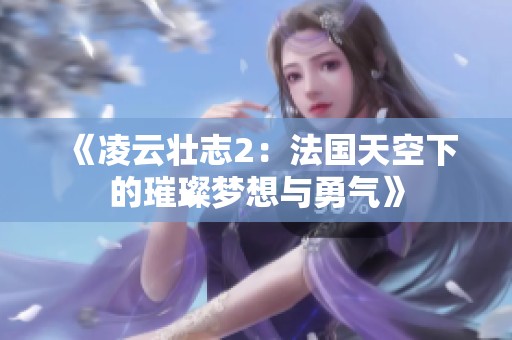 《凌云壮志2：法国天空下的璀璨梦想与勇气》