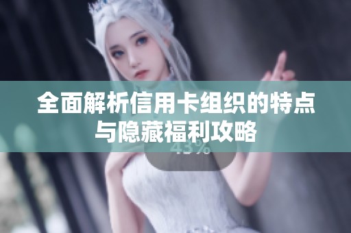 全面解析信用卡组织的特点与隐藏福利攻略