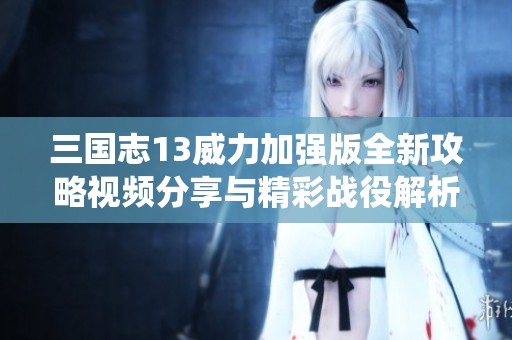 三国志13威力加强版全新攻略视频分享与精彩战役解析