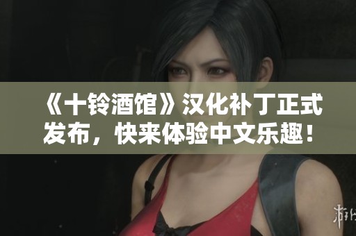 《十铃酒馆》汉化补丁正式发布，快来体验中文乐趣！