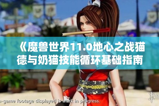 《魔兽世界11.0地心之战猫德与奶猫技能循环基础指南》
