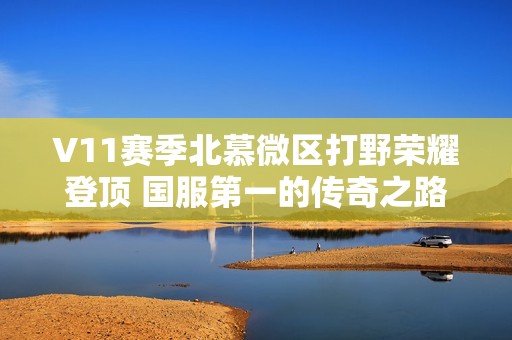 V11赛季北慕微区打野荣耀登顶 国服第一的传奇之路