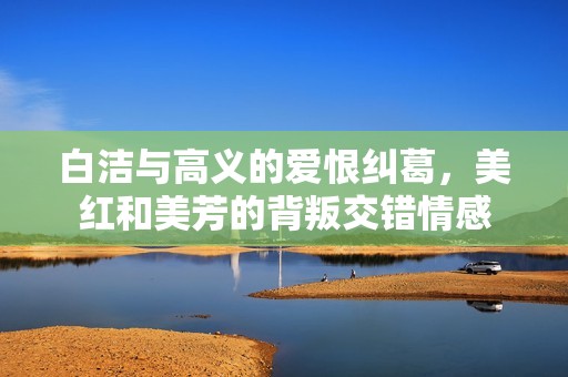 白洁与高义的爱恨纠葛，美红和美芳的背叛交错情感