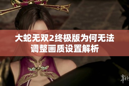 大蛇无双2终极版为何无法调整画质设置解析