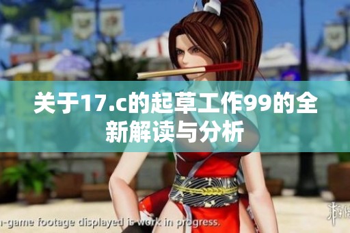 关于17.c的起草工作99的全新解读与分析