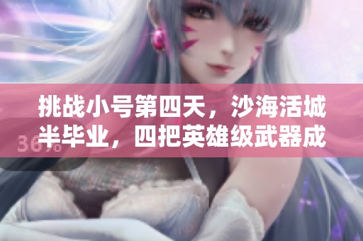 挑战小号第四天，沙海活城半毕业，四把英雄级武器成就背后的故事
