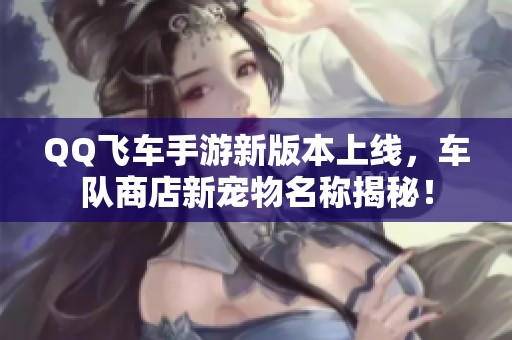 QQ飞车手游新版本上线，车队商店新宠物名称揭秘！