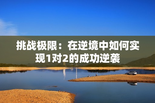 挑战极限：在逆境中如何实现1对2的成功逆袭