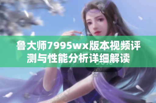 鲁大师7995wx版本视频评测与性能分析详细解读