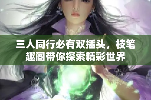 三人同行必有双插头，枝笔趣阁带你探索精彩世界