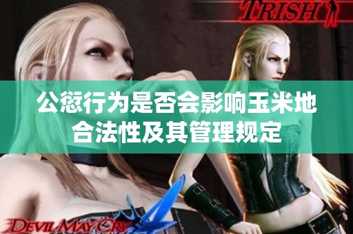 公愆行为是否会影响玉米地合法性及其管理规定