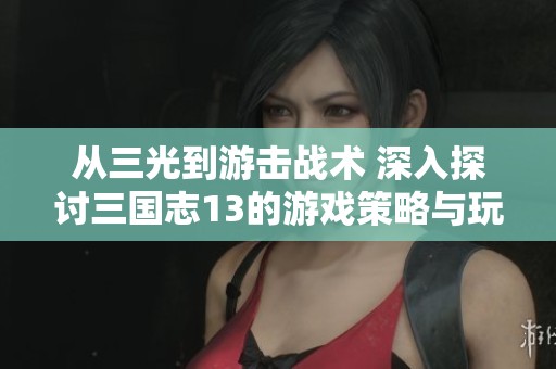 从三光到游击战术 深入探讨三国志13的游戏策略与玩法