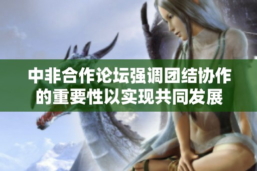 中非合作论坛强调团结协作的重要性以实现共同发展