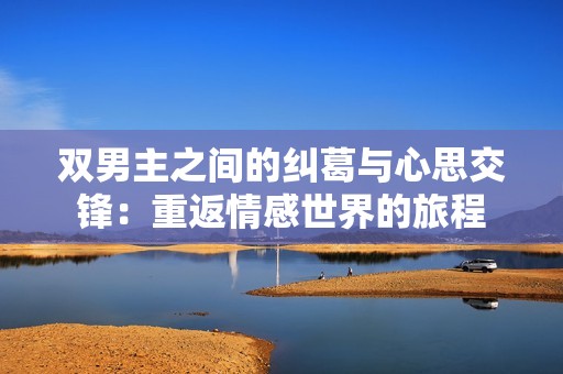 双男主之间的纠葛与心思交锋：重返情感世界的旅程