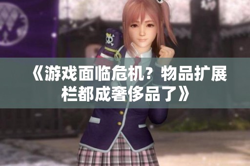 《游戏面临危机？物品扩展栏都成奢侈品了》