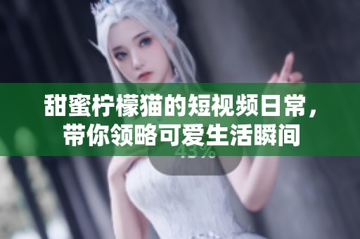 甜蜜柠檬猫的短视频日常，带你领略可爱生活瞬间