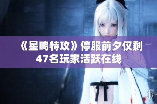 《星鸣特攻》停服前夕仅剩47名玩家活跃在线
