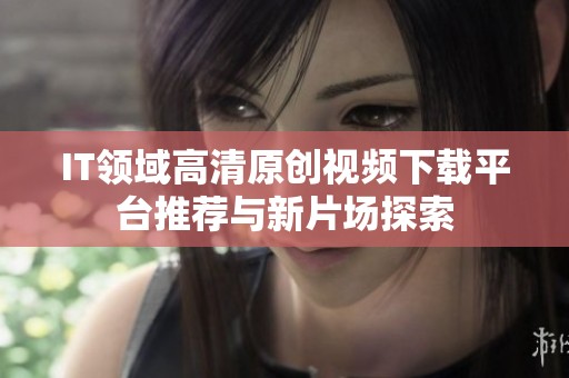 IT领域高清原创视频下载平台推荐与新片场探索