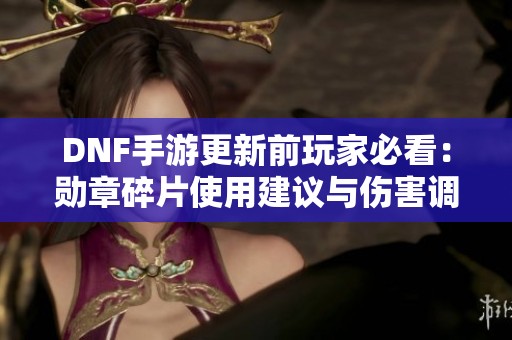DNF手游更新前玩家必看：勋章碎片使用建议与伤害调整分析
