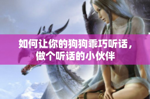 如何让你的狗狗乖巧听话，做个听话的小伙伴