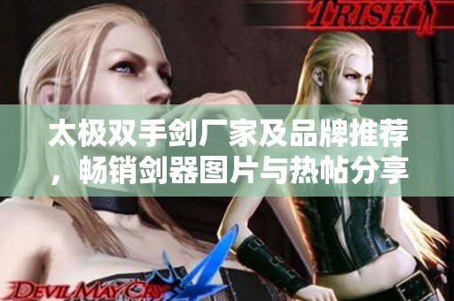 太极双手剑厂家及品牌推荐，畅销剑器图片与热帖分享