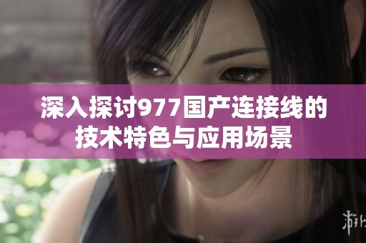 深入探讨977国产连接线的技术特色与应用场景