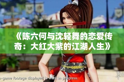 《陈六何与沈轻舞的恋爱传奇：大红大紫的江湖人生》