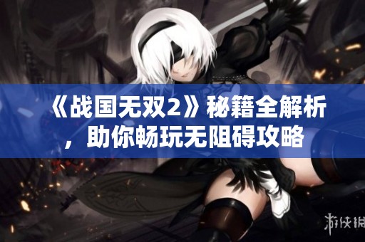 《战国无双2》秘籍全解析，助你畅玩无阻碍攻略