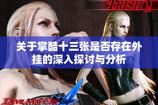 关于掌酷十三张是否存在外挂的深入探讨与分析