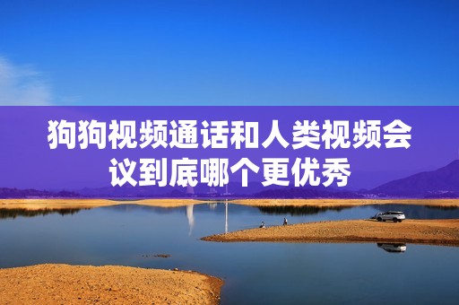 狗狗视频通话和人类视频会议到底哪个更优秀