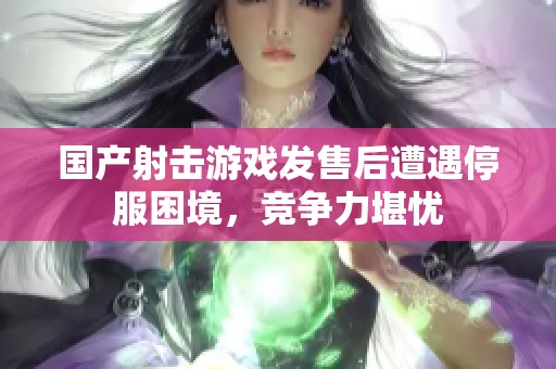 国产射击游戏发售后遭遇停服困境，竞争力堪忧