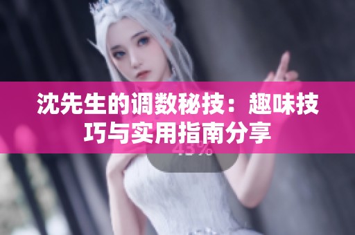 沈先生的调数秘技：趣味技巧与实用指南分享