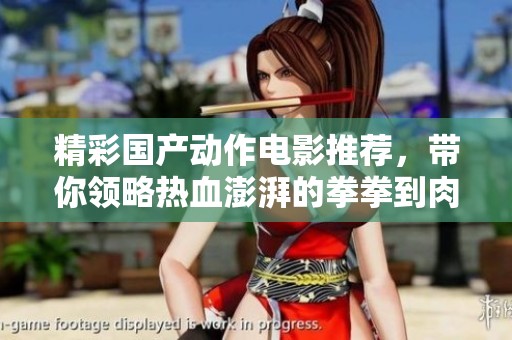 精彩国产动作电影推荐，带你领略热血澎湃的拳拳到肉视听盛宴